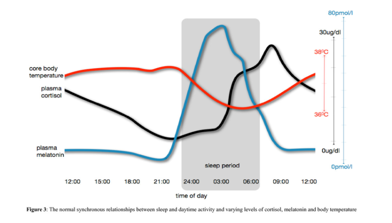 chart for sleep and daytime activities
