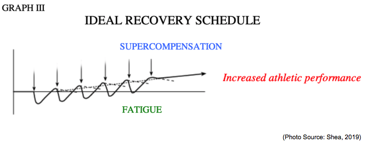 fitness recovery schedule for sailors
